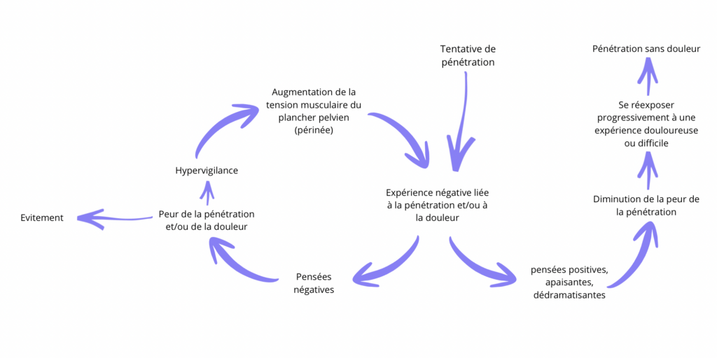 Image 1 : Modèle d'évitement lié à la peur dans le vaginisme